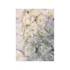 Rose Flowerwall Backdrop Rose Flowerwall Backdrop