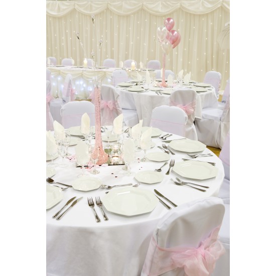 Deluxe Starlight Wedding Backdrop - Full Spectrum of colours inc warm or cool white 
