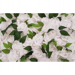 White Rose Backdrop