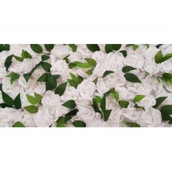 White Rose Backdrop