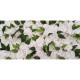 Rose Flowerwall Backdrop Rose Flowerwall Backdrop