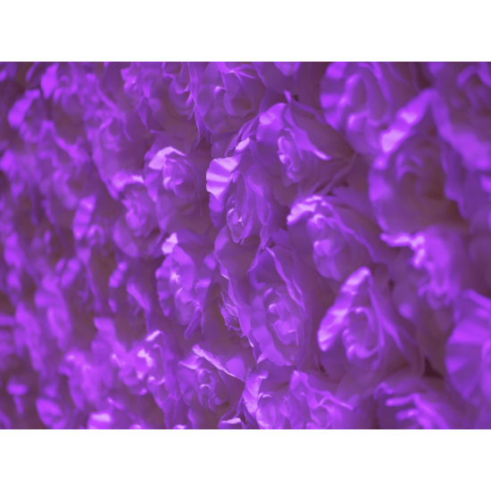 Rose Flowerwall Backdrop Rose Flowerwall Backdrop