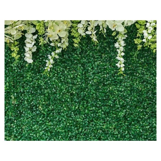 Grass Backdrop Grass Backdrop