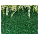 Grass Backdrop Grass Backdrop
