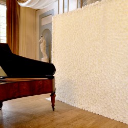 Rose Flowerwall Backdrop